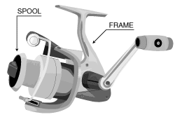 Freshwater Reels Construction Freshwater Reels Construction