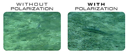 What Polarization Looks Like