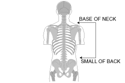 Measuring Backpack size Measuring Backpack size