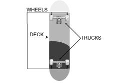 Skateboard Deck Skateboard Deck