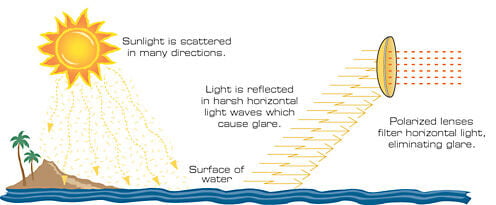 Reducing Glare