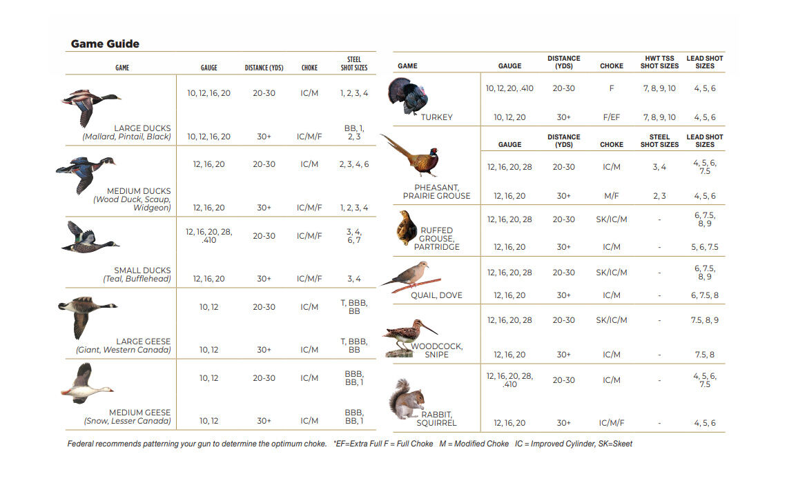 Federal Game Guide