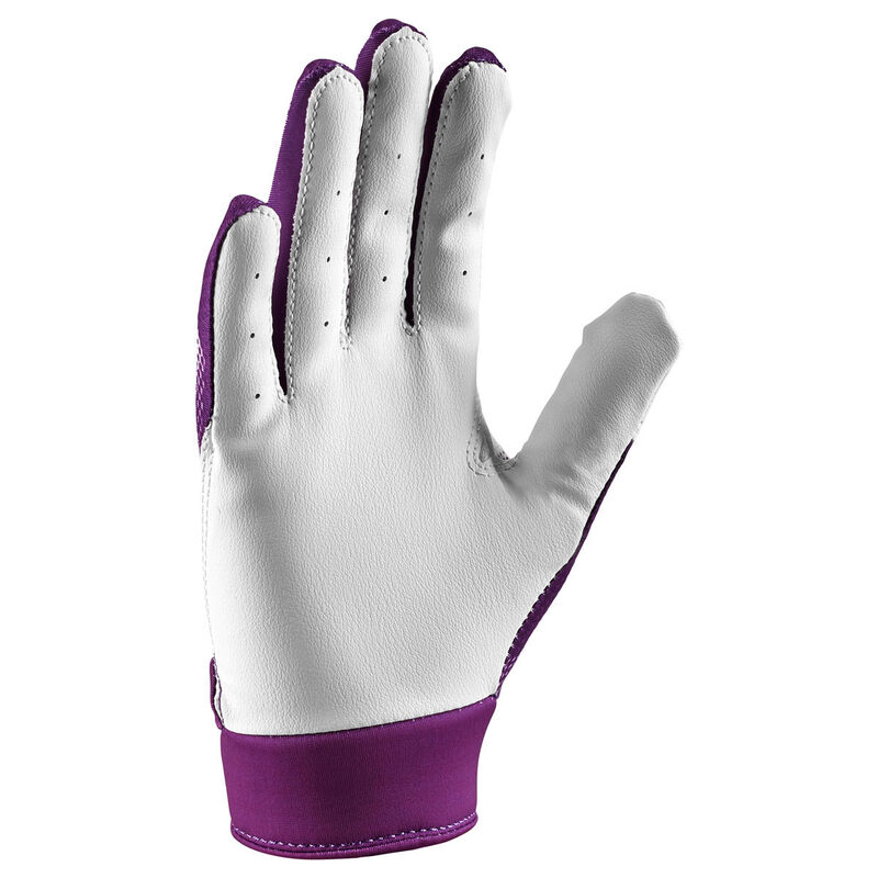 Nike T-Ball Alpha Batting Gloves image number 1