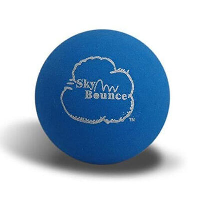 Sky Bounce Racquetball