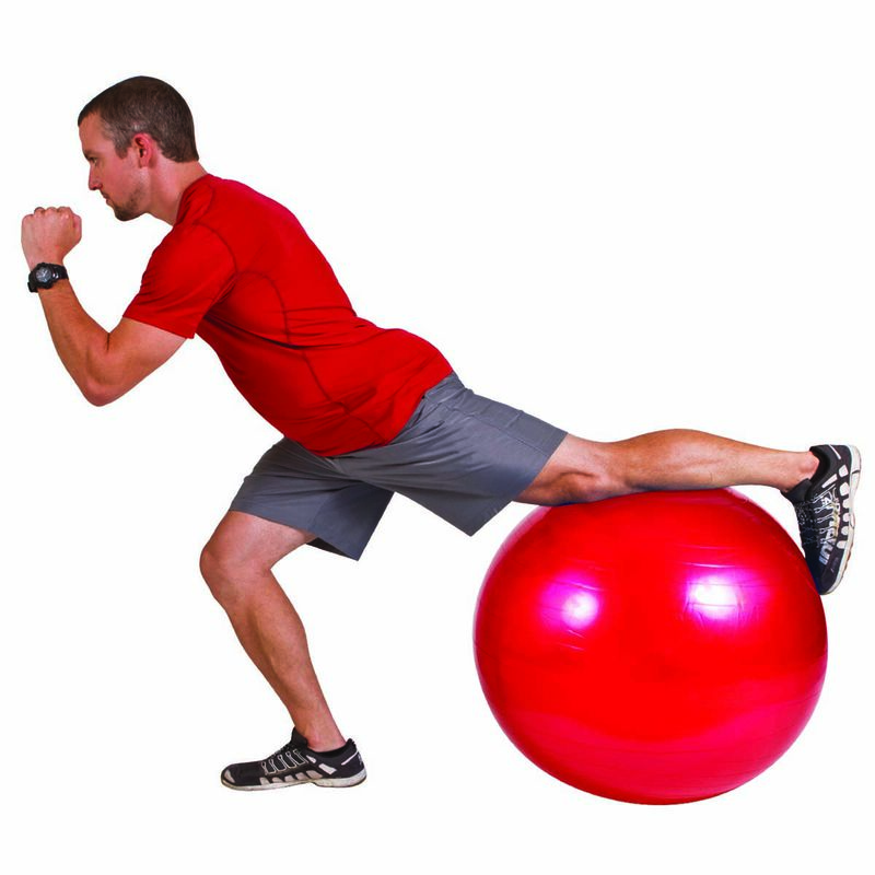 Go Fit 55cm 1000lb Capacity Exercise Ball with Pump & Training Poster image number 2
