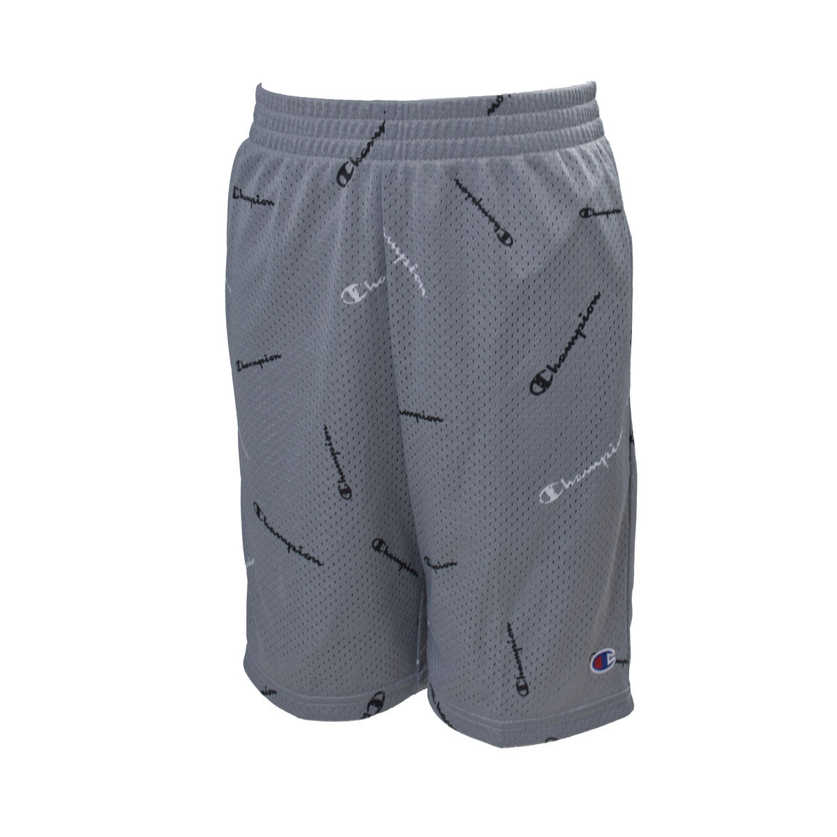 Champion Boys All Over Print Toss Logo Mesh Short