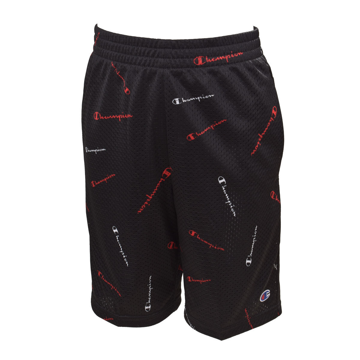Champion Boys All Over Print Toss Logo Mesh Short