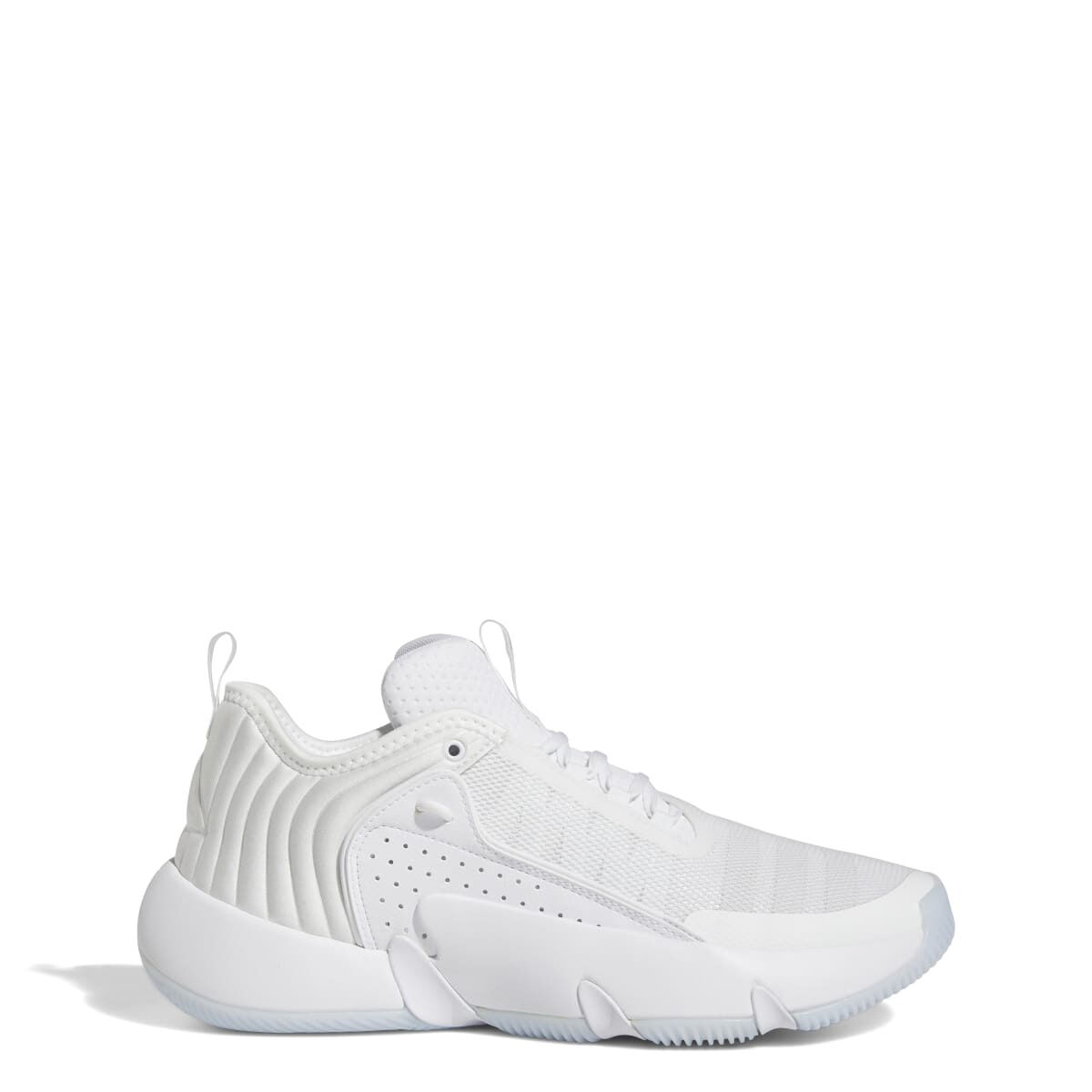 Dunham's sports basketball shoes store