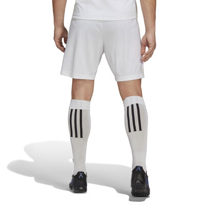 adidas Men's Entrada 22 Soccer Shorts