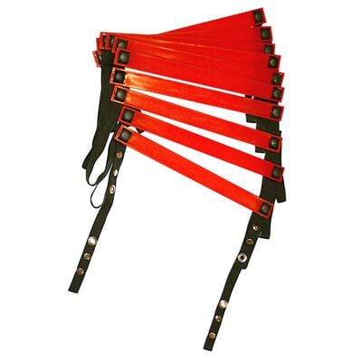 Go Fit 15' Agility Ladder with Storage Bag