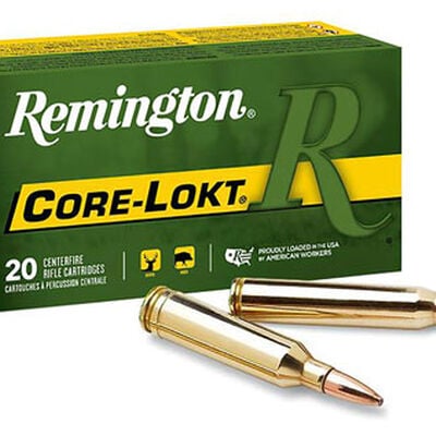 Remington Core Lokt 30-06 180 Grain Ammo