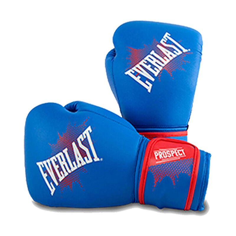 Everlast Youth 8oz Prospect Boxing Gloves image number 0