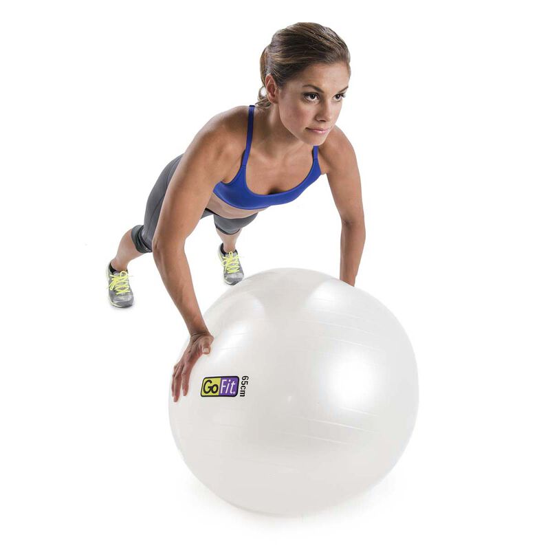 Go Fit 65cm 1000lb Capacity Exercise Ball with Pump & Training Poster image number 3