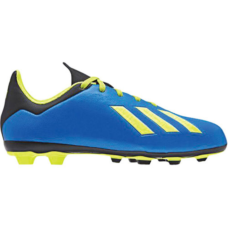 adidas Youth X 18.4 FG Soccer Cleats image number 1