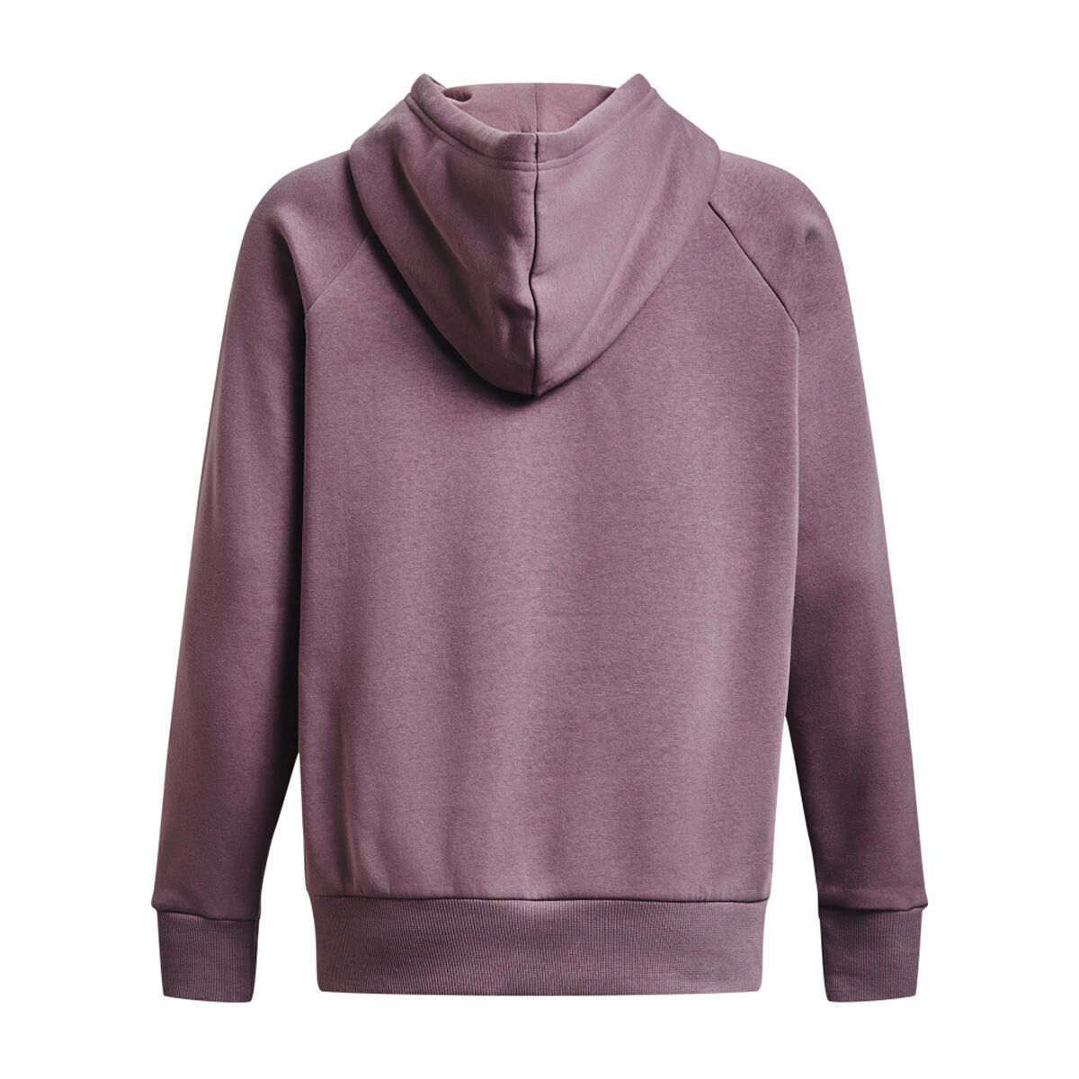 Under armour women's favorite fleece metallic stripe big logo hoodie online