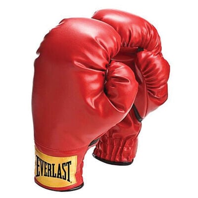Everlast Youth 8oz Boxing Gloves