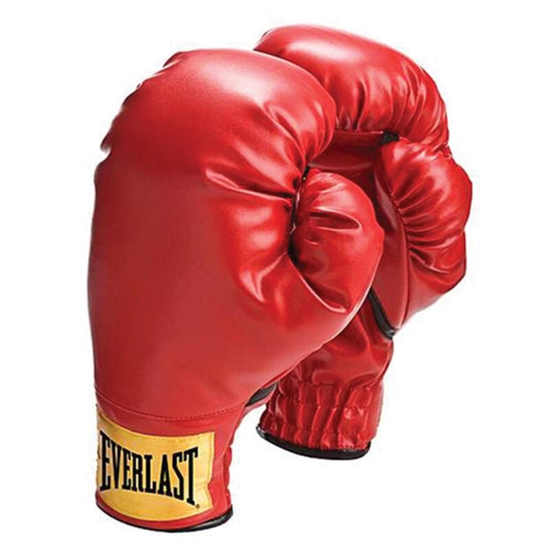 Everlast Youth 8oz Boxing Gloves image number 0