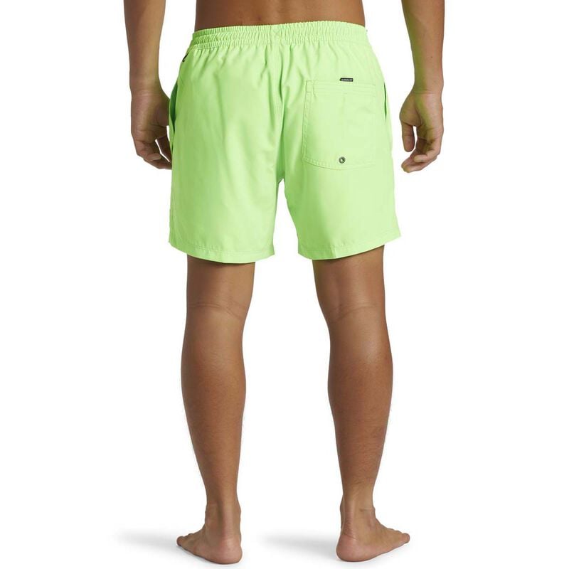 Quiksilver Everyday Solid Volley 15 image number 2