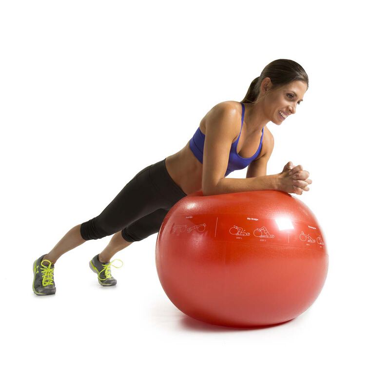 Go Fit 65cm Guide Ball-Pro Grade 2000lb Stability Ball with Printed Exercises, DVD Training Manual   Pump image number 2