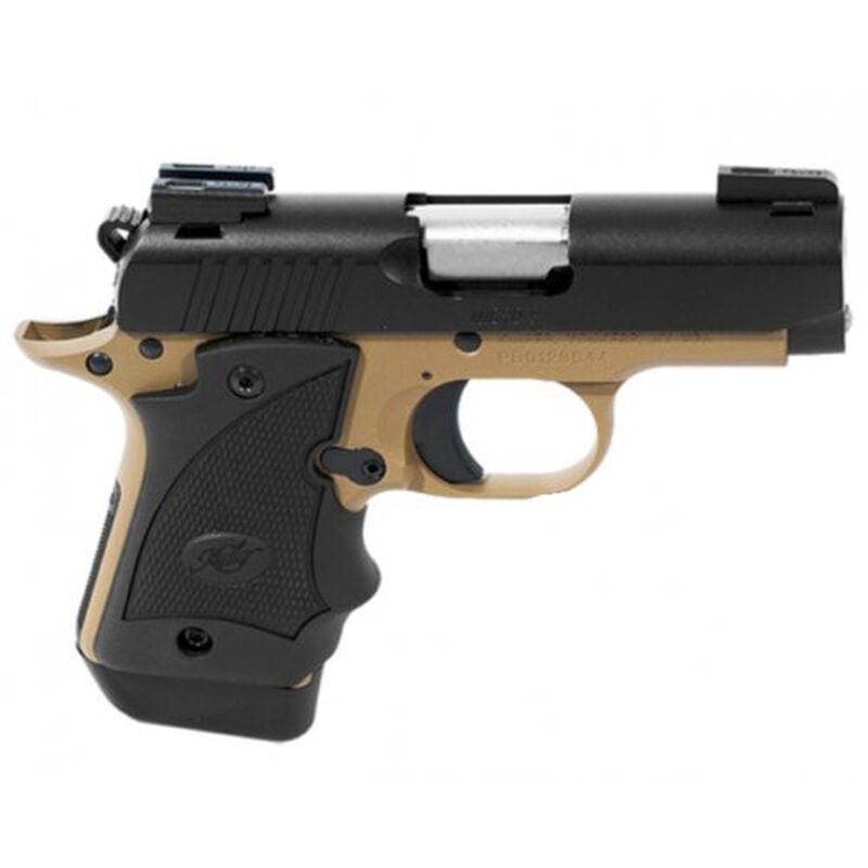Micro 9MM with Day/Night sights Pistol, , large image number 0