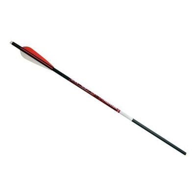 Bloodsport Carbon Arrows Shooting Bow