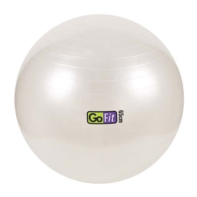 Go Fit 65cm 1000lb Capacity Exercise Ball with Pump & Training Poster