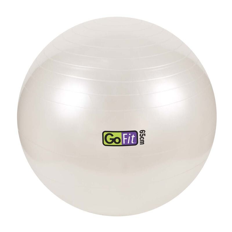 Go Fit 65cm 1000lb Capacity Exercise Ball with Pump & Training Poster image number 0