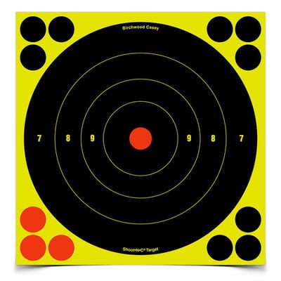 Birchwood Casey Shoot-N-C 8" Inch Bull's-eye, 30 Targets - 360 Pasters