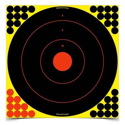 Birchwood Casey 17.25" Bullseye target