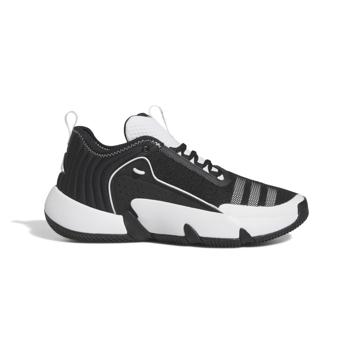 Dunham's sports shoes online