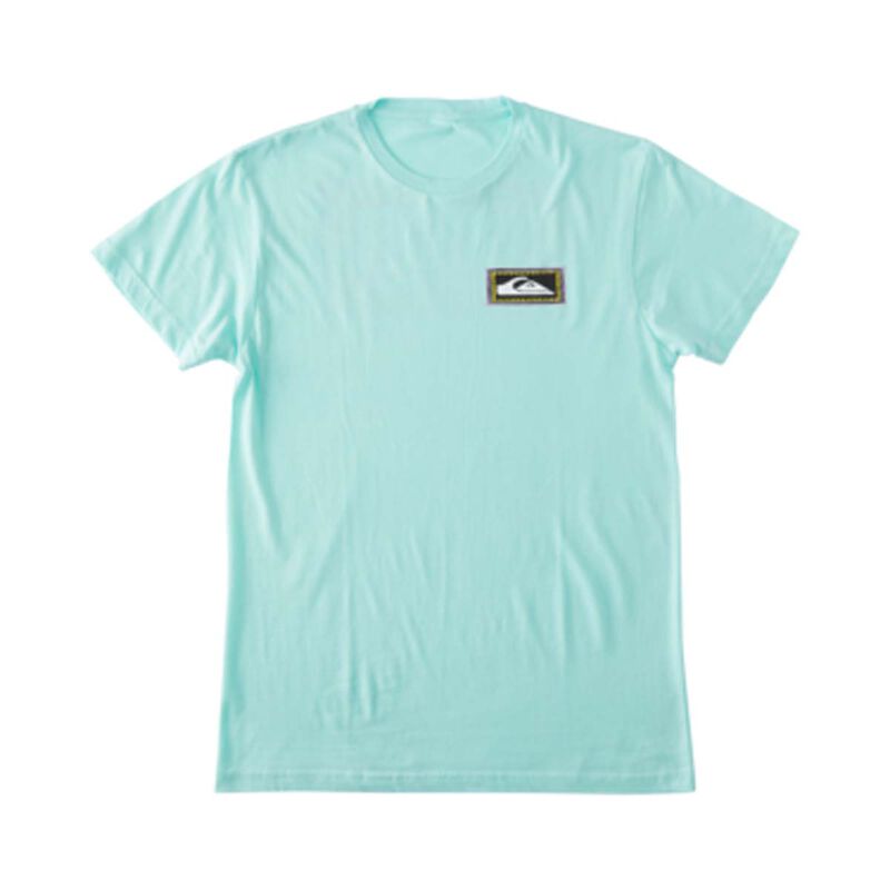 Quiksilver D Radical Roots SS Tee image number 4
