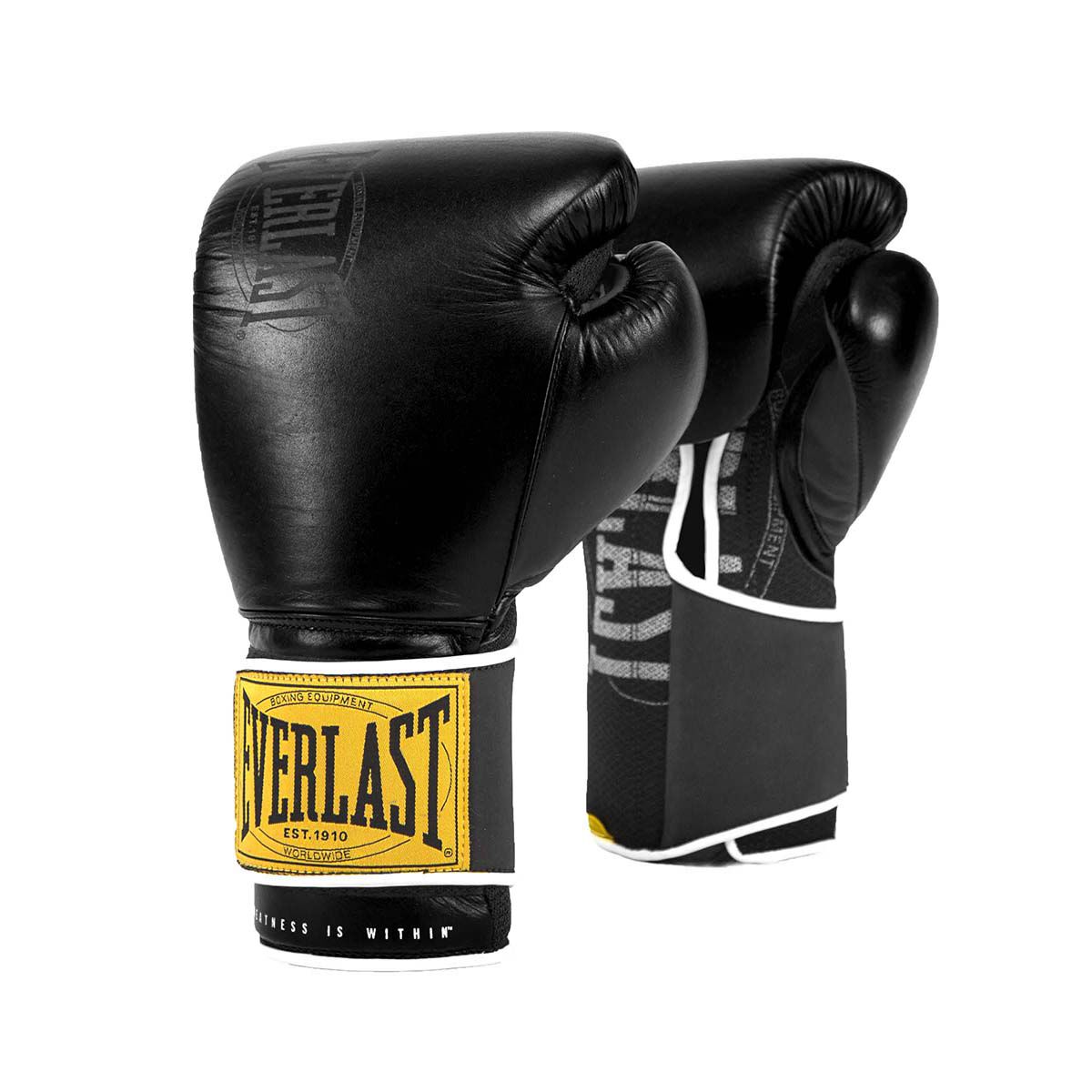 Dw sports hot sale boxing gloves