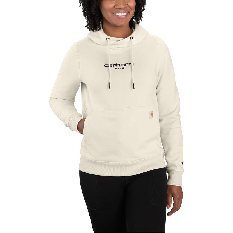 Carhartt Force Relaxed Fit Lightweight Graphic Hooded Sweatshirt image number 0