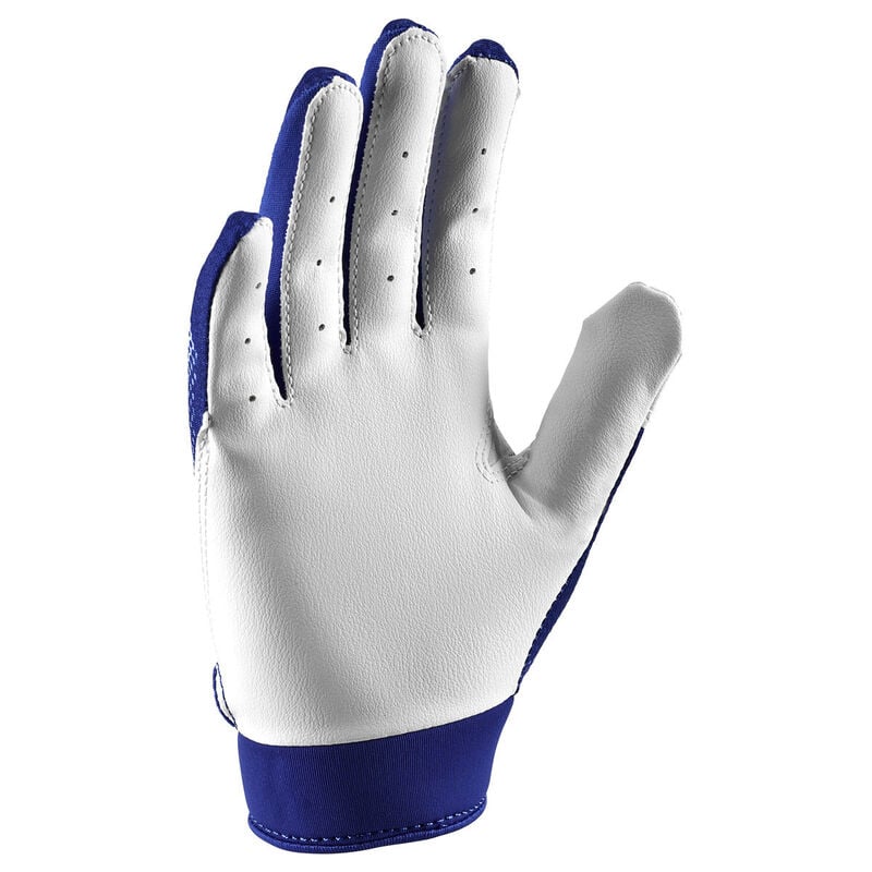 Nike T-Ball Alpha Batting Gloves image number 1