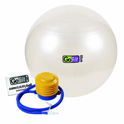 Go Fit 65cm 1000lb Capacity Exercise Ball with Pump & Training Poster