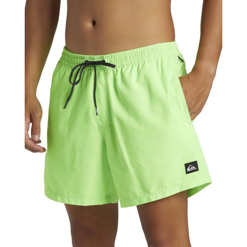 Quiksilver Everyday Solid Volley 15 image number 5