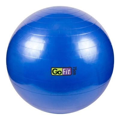 Go Fit 75cm Exercise Ball with Pump & Training Poster