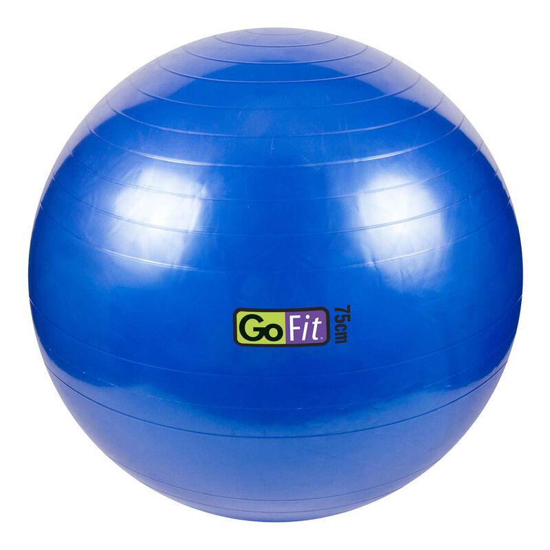 Go Fit 75cm Exercise Ball with Pump & Training Poster image number 0