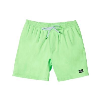 Quiksilver Everyday Solid Volley 15