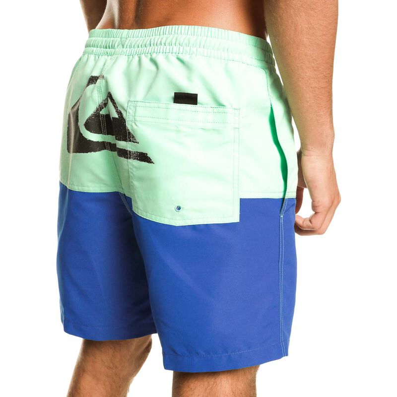 Quiksilver Butt Logo 17Nb Volley image number 5