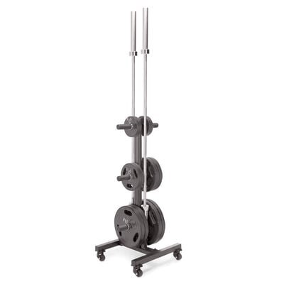 Marcy 6-Peg Olympic Plate Tree and Bar