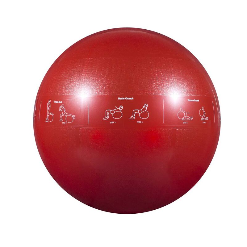 Go Fit 65cm Guide Ball-Pro Grade 2000lb Stability Ball with Printed Exercises, DVD Training Manual   Pump image number 0