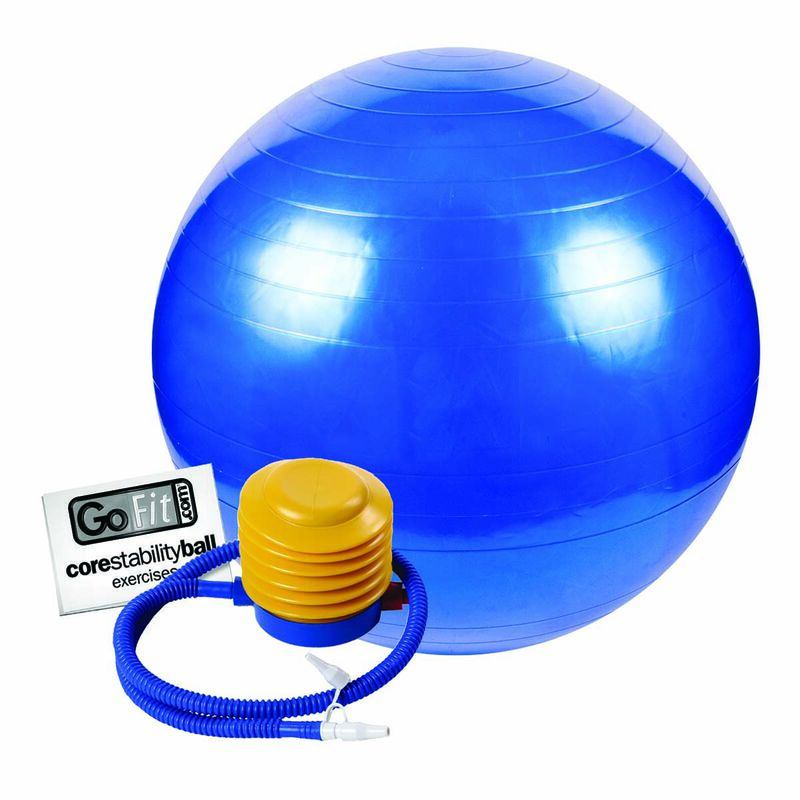Go Fit 75cm Exercise Ball with Pump & Training Poster image number 1