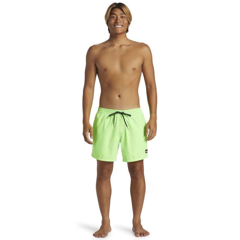Quiksilver Everyday Solid Volley 15 image number 6