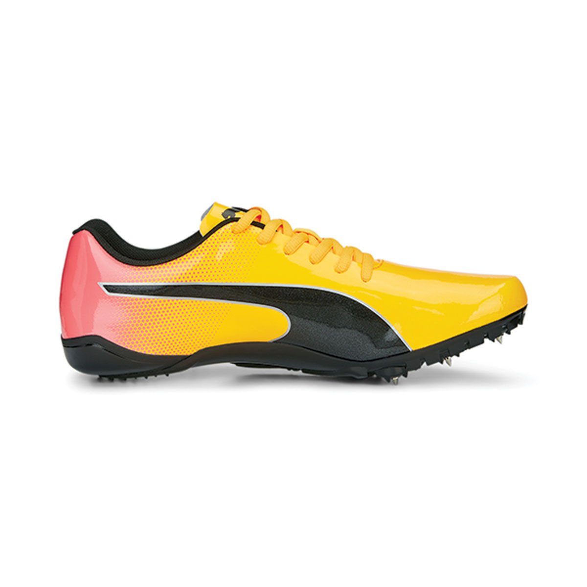 Track on sale spikes dunhams