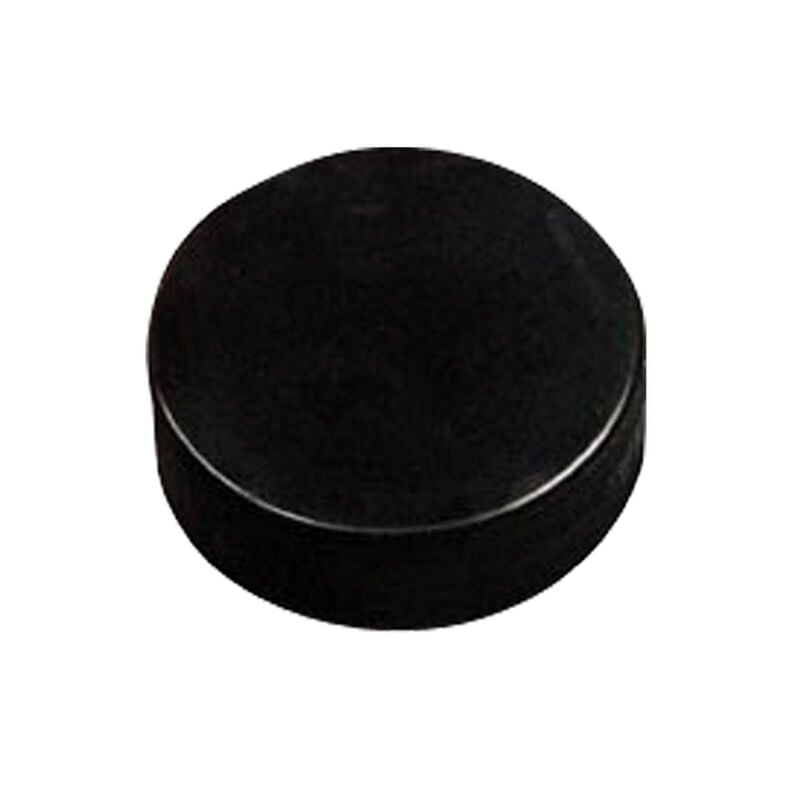 Proguard Sports Practice Puck image number 0