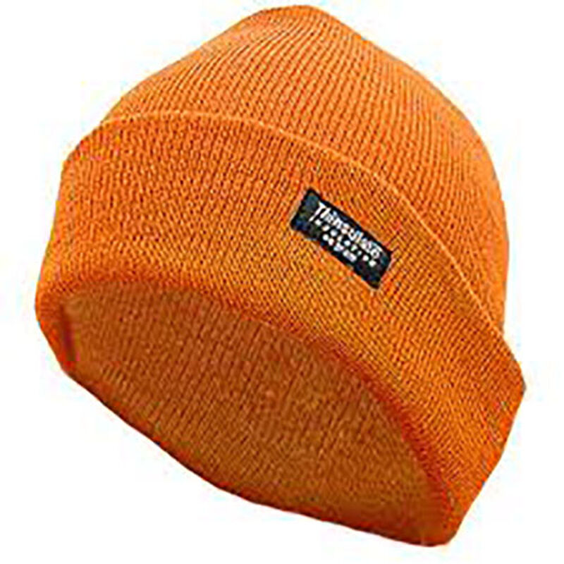 Jacob Ash Thinsulate Knit Hat image number 0