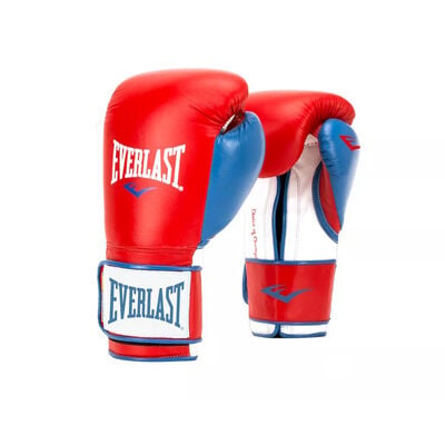 Everlast 16 Ounce Powerlock Hook & Loop Training Kickboxing Boxing Bag Gloves