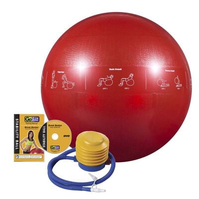 Go Fit 65cm Guide Ball-Pro Grade 2000lb Stability Ball with Printed Exercises, DVD Training Manual   Pump