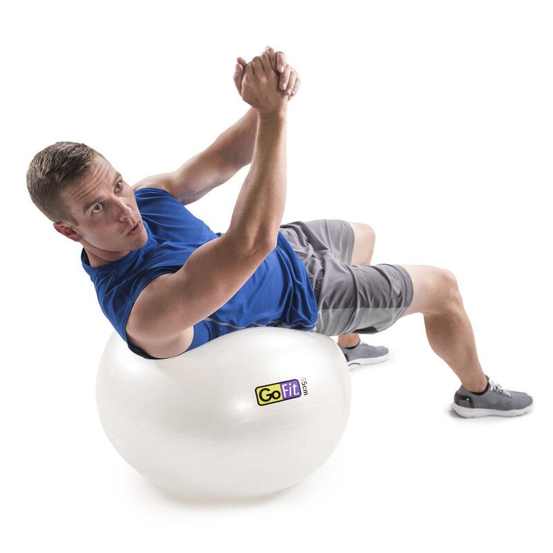Go Fit 65cm 1000lb Capacity Exercise Ball with Pump & Training Poster image number 5